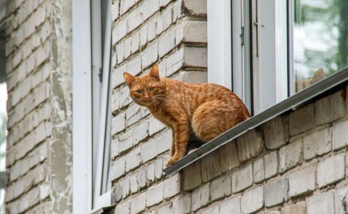 Аварийное жилье