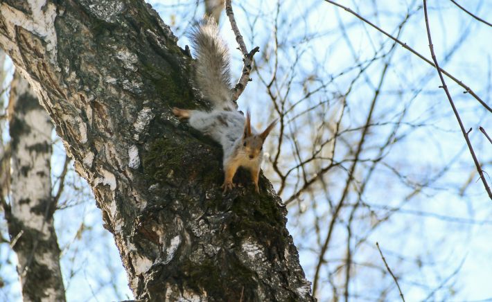 Парк "Юбилейный"