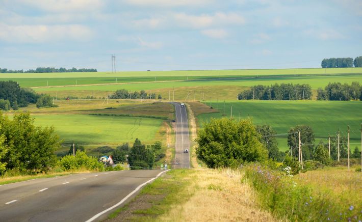 Дорога. Поля