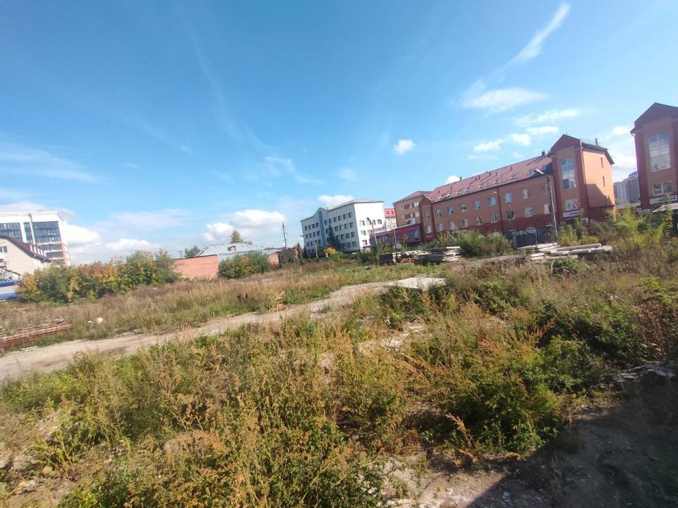 Участок на ул. Пушкина, 30. Осень 2025 года