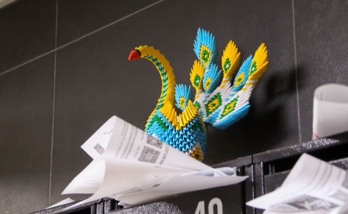 Новостройка. ЖКХ. Почта 