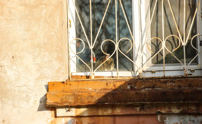 Квартира. Барнаул