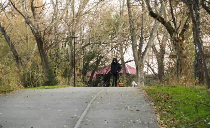 Дорожки парка "Юбилейный". Октябрь 2025 года