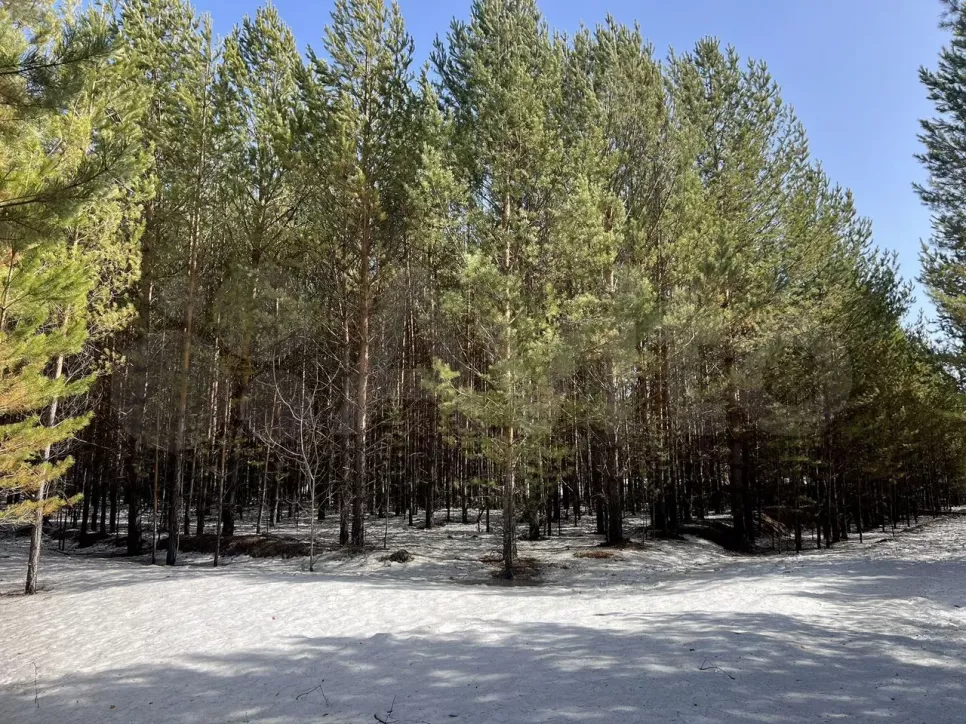 Территория под поселок около Б. Ключей