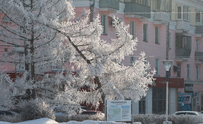 Барнаул. Зима