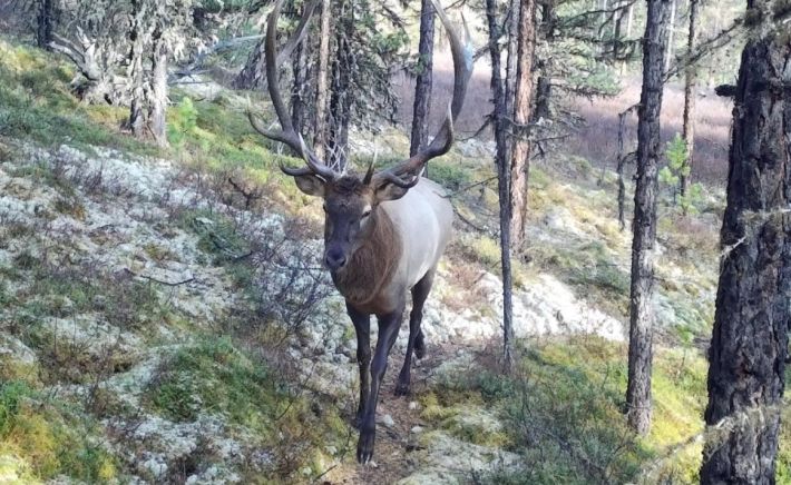 Республика Алтай