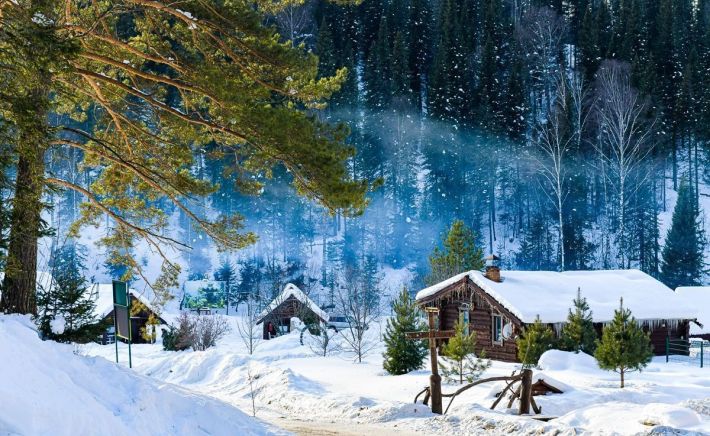 "Лесная заимка"