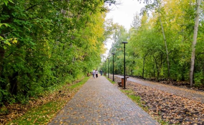 Парк им. Ленина. 2025 год