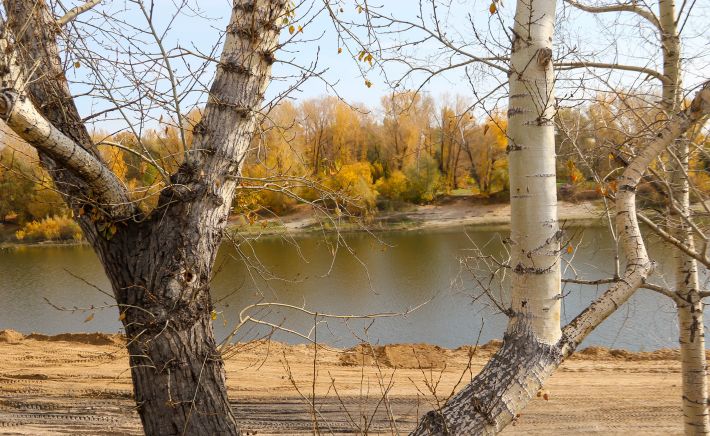 Ковш. 2025 год