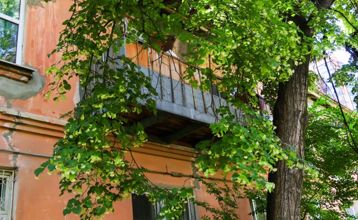 Барнаул. Ул. Партизанская