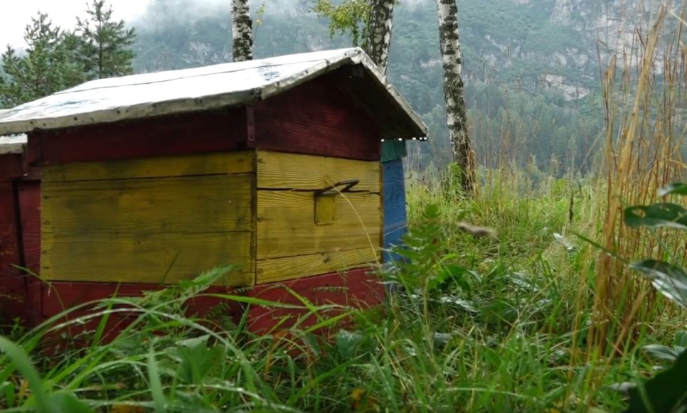 Застройка на Каячинском плесе в Республике Алтай 