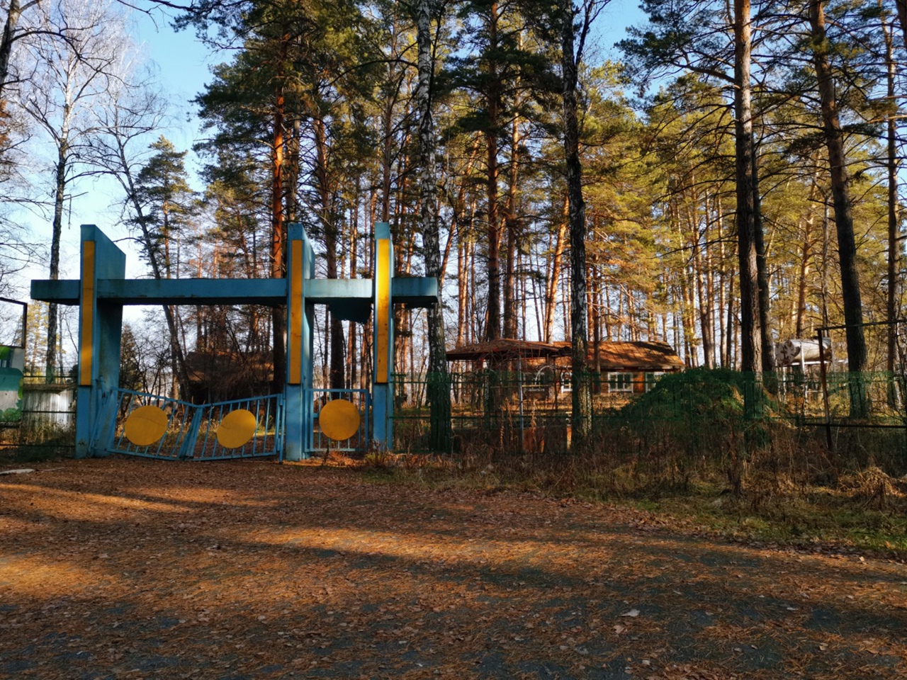 На месте детского лагеря под Барнаулом запроектировали коттеджный поселок