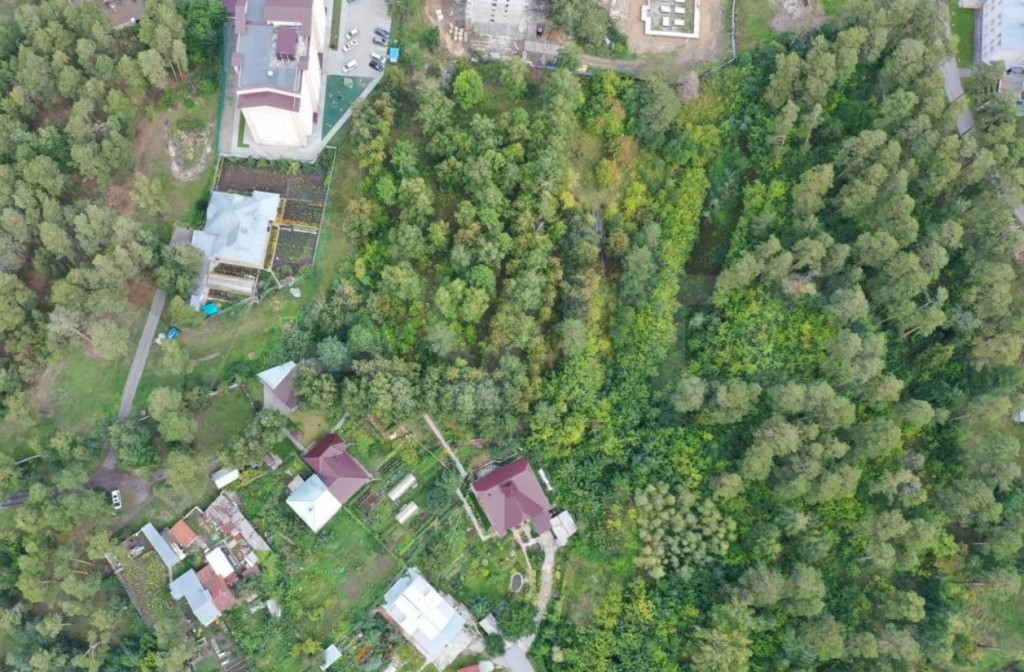 В барнаульском лесу у телевышки построят пять домов с пентхаусами