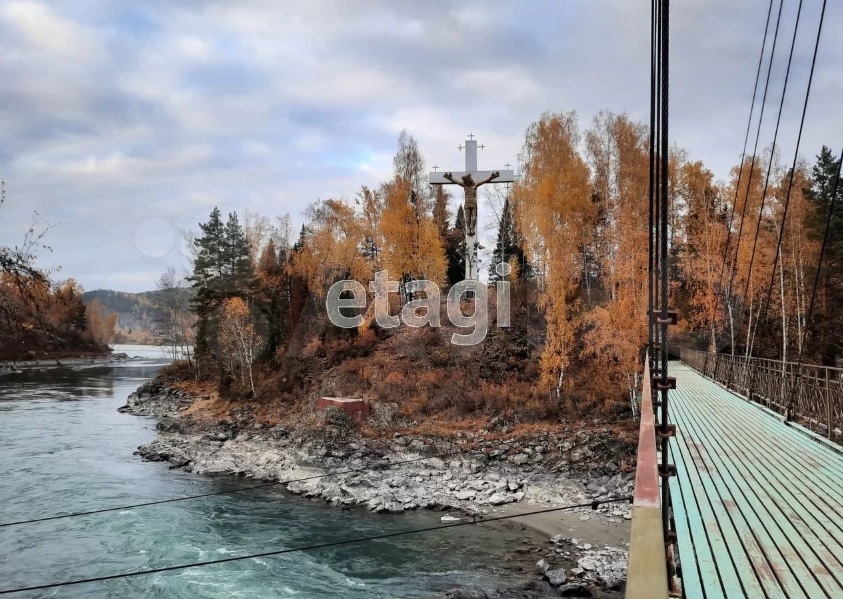 Зеленый остров с мостом выставили на продажу в Алтайском крае