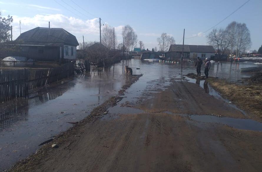 Частные дома начало подтапливать в Алтайском крае