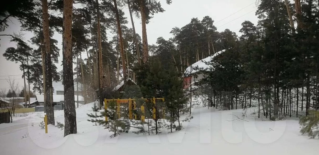 Посреди леса рядом с тюрьмой в Барнауле нашли земли под многоэтажки