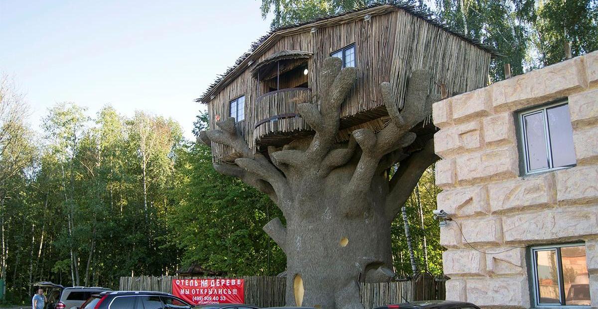 Необычный отель "на дереве" снесли в Москве