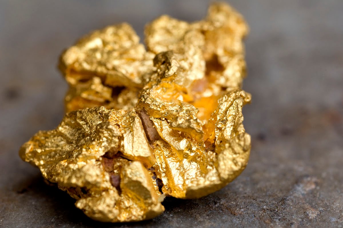 Земли с месторождением золота и серебра на Алтае выставили на торги за 2,9 млрд