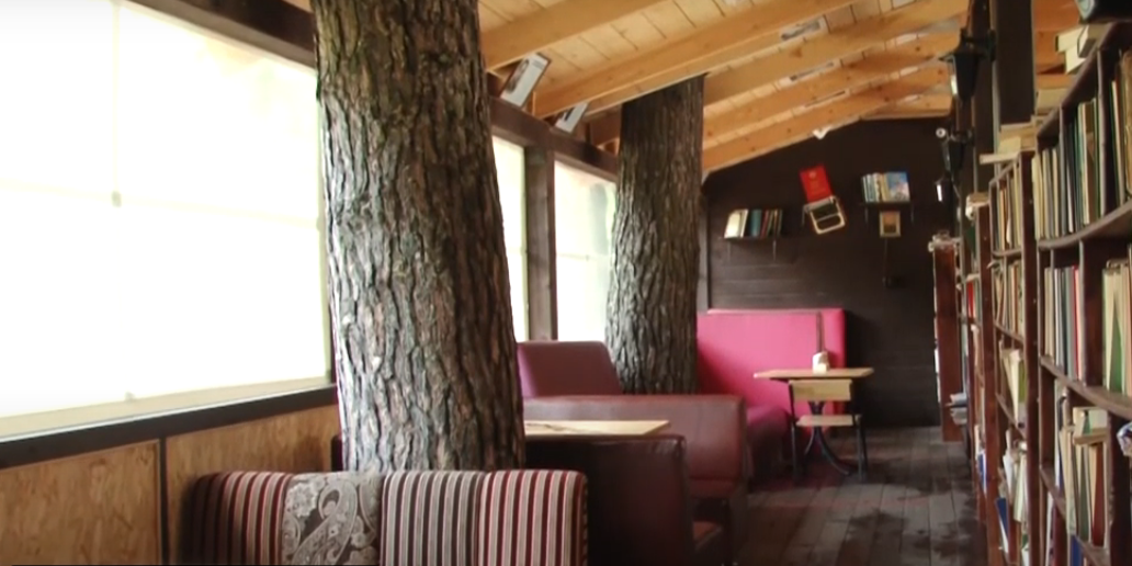 На Алтае собственников заставляют снести необычное здание с деревьями внутри