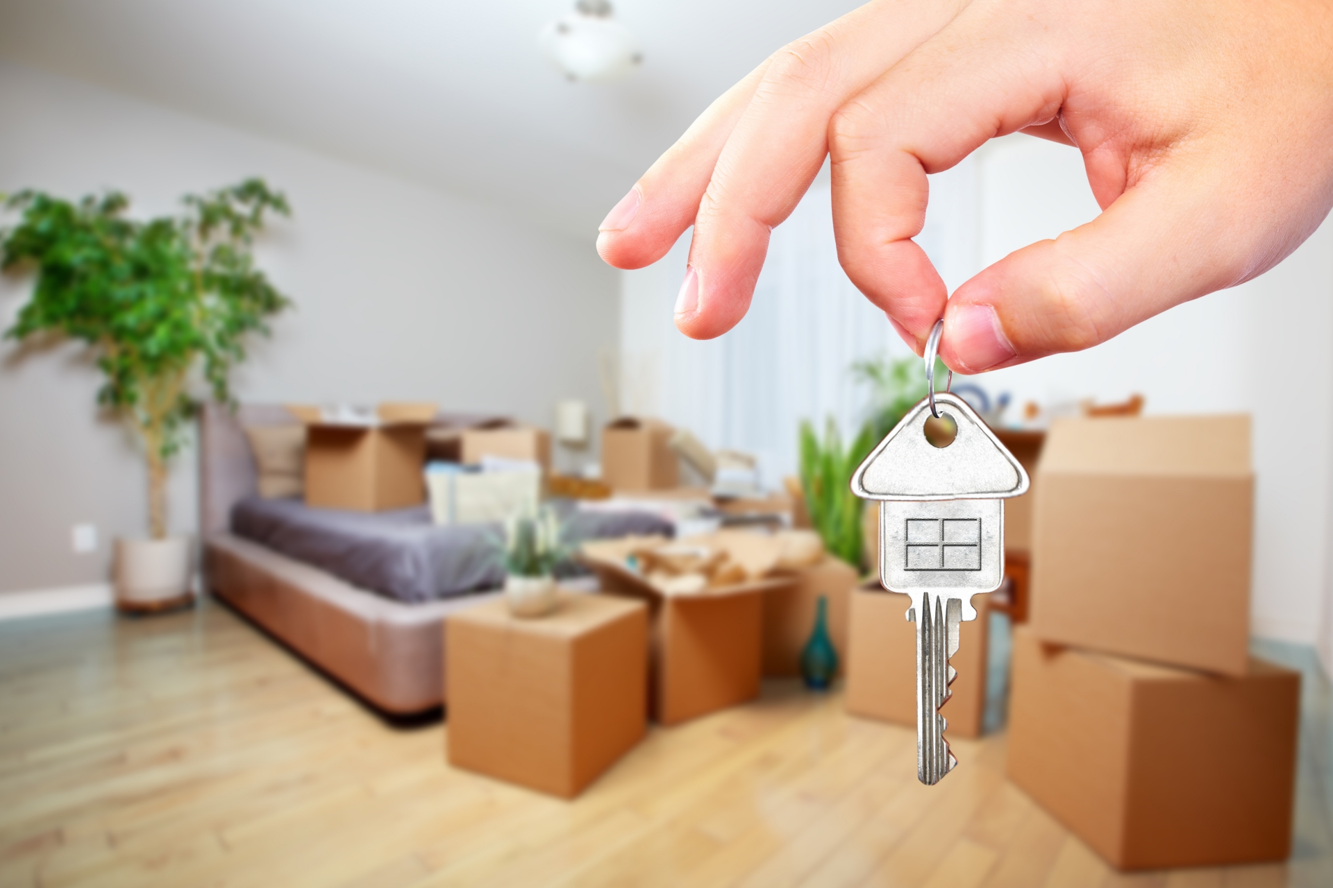 Пять причин заняться покупкой недвижимости в январе