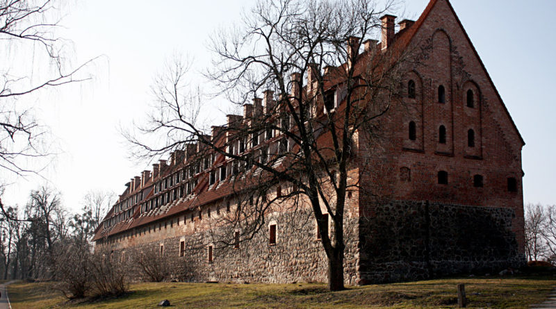 750-летний российский замок рыцарей выставили на торги за 6 млн. рублей