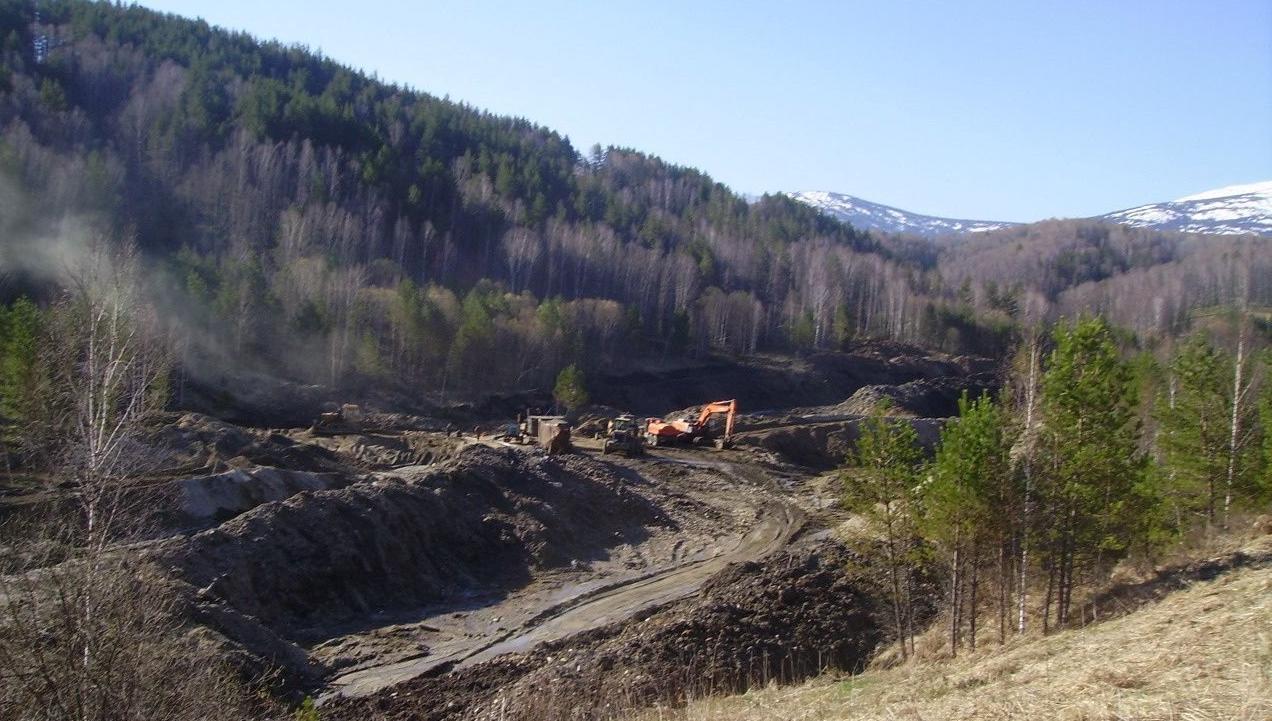 Землю с золотым месторождением выставили на продажу в Алтайском крае
