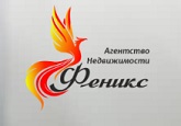 Логотип АН Феникс