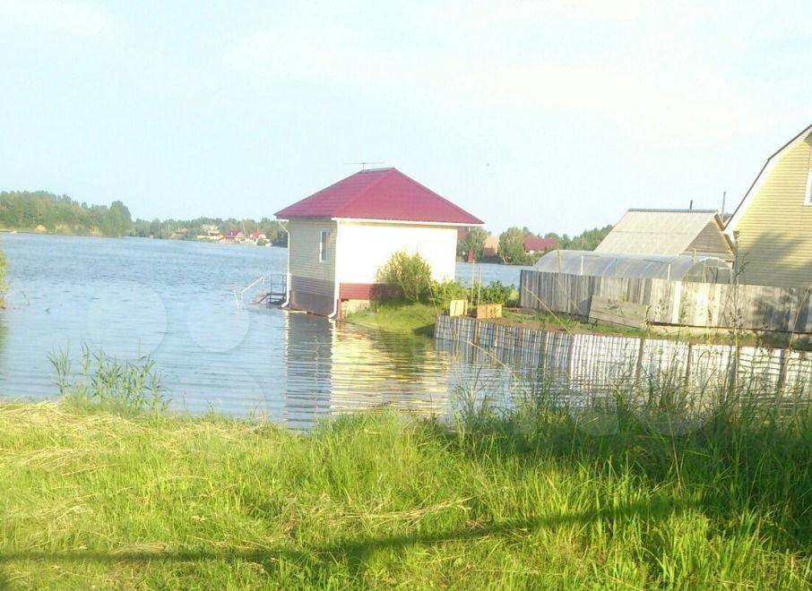 Усадьбу с домом на воде выставили на продажу в Алтайском крае