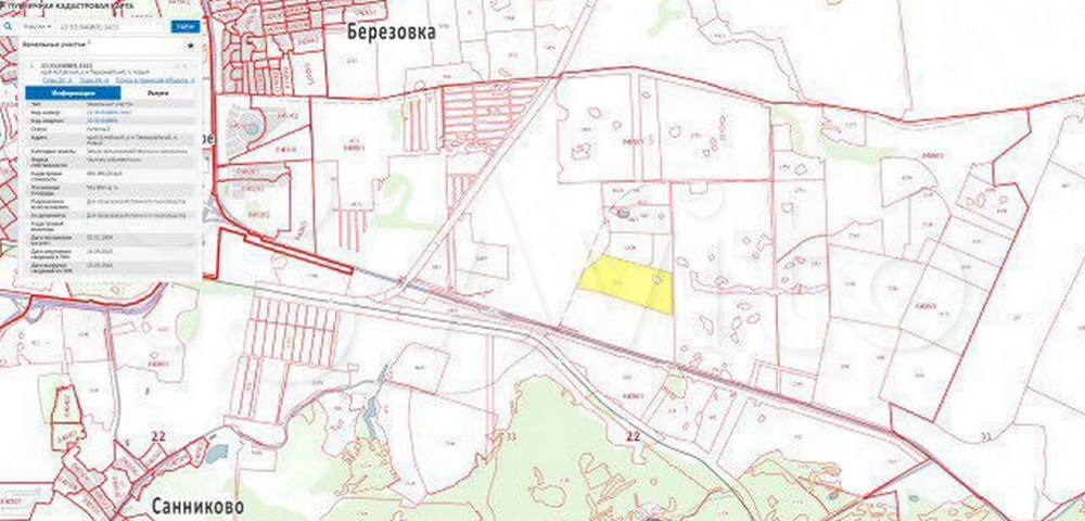 Коттеджный поселок с авиатранспортом могут построить вблизи Барнаула